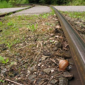 Steyrtalbahn - Aschach an der Steyr