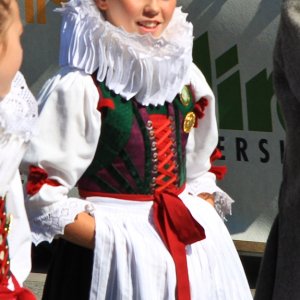 Landesfestumzug 2009