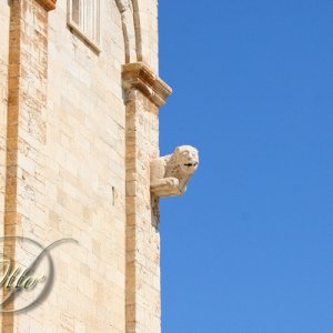 Kathedrale San Nicola Pellegrino von Trani
