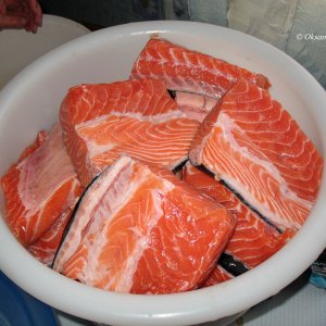 Lachs, fertig zum Salzen