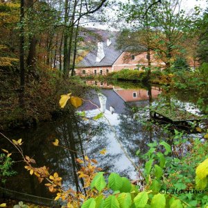 Teich der Hammerschmiede in Aggsbach