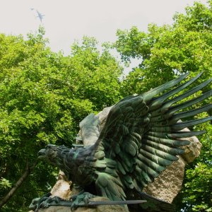 Drei Vögel