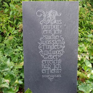 Motiv "ad spectatoris gaudium"