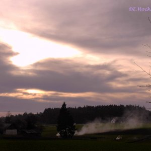 Spätherbstnachmittag im Waldviertel