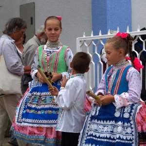 Volkstumsgruppe Indjija (Serbien) Slowakische Minderheit