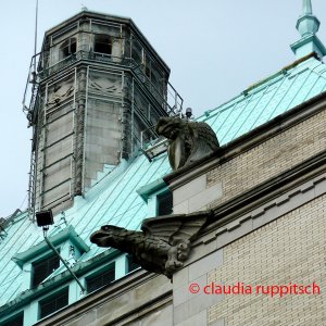 Kanadische Wasserspeier