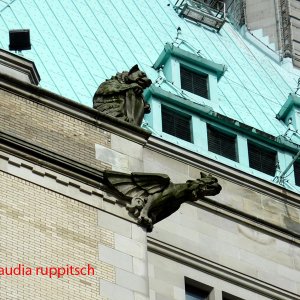 Kanadische Wasserspeier