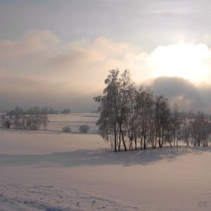 Winter im Waldviertel