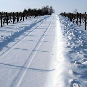 Winter im Weinviertel 2/2