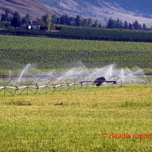 Bewässerungssystem im Similkameen Valley, Kanada