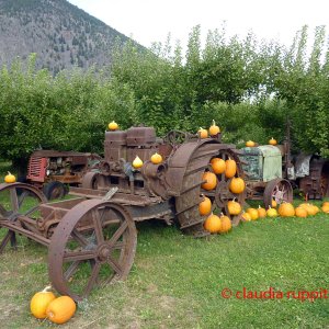 Obstdirektverkauf im Similkameen Valley, Kanada