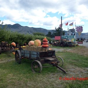 Obstdirektverkauf im Similkameen Valley, Kanada