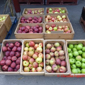 Obstdirektverkauf im Similkameen Valley, Kanada