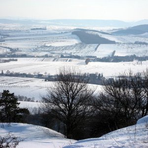 Oberleiser Berg