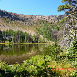 Scout Lake im Cathedral Provincial Park, BC, Kanada