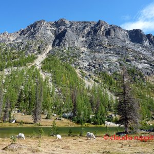 Goat Lake Area im Cathedral Provincial Park, BC, Kanada