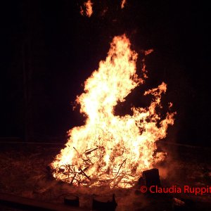 Burning Logs im Cathedral Provincial Park, BC, Kanada