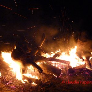 Burning Logs im Cathedral Provincial Park, BC, Kanada