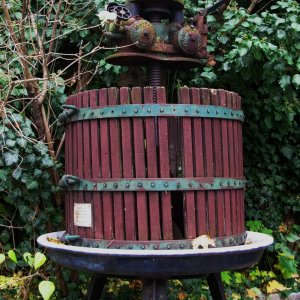 Medium 'Alte Weinpresse' in der Kategorie 'Landwirtschaft - Historische Arbeitsgeräte und Arbeitstechniken'