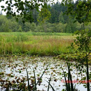 Vancouver, Stanley Park
