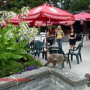 Vancouver, Stanley Park
