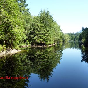 Vancouver, Lynn Canyon Park