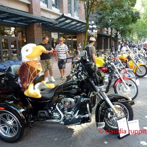 Vancouver Motorcycle Show & Shine 2009