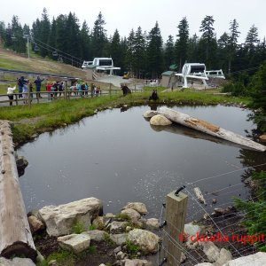 Vancouver, Grouse Mountain