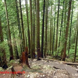 Vancouver, Grouse Mountain