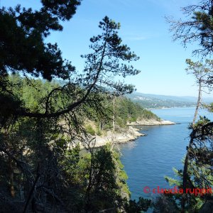 Vancouver, Lighthouse Park