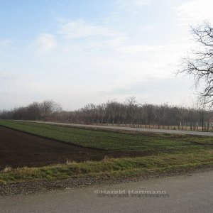 Grenze bei Halbturn