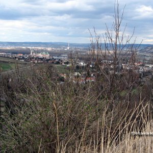 Blick auf  Klosterneuburg
