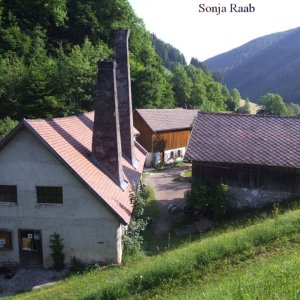 einödhammer in der prolling