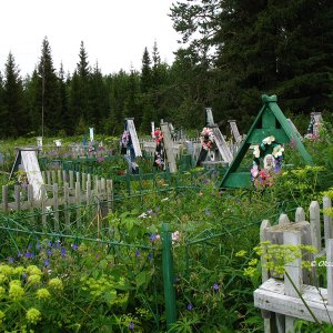 auf dem Friedhof