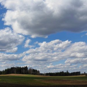 Vorfrühling im Waldviertel