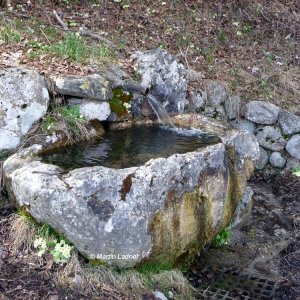 Brunnen Ledrosee