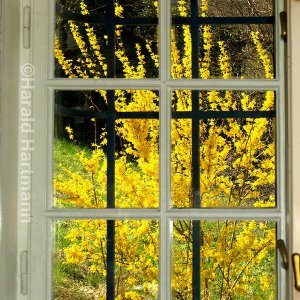 Blick aus dem Fenster