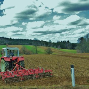 Der Bauer im Frühling