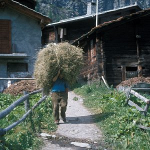 Heuarbeit, Schweiz
