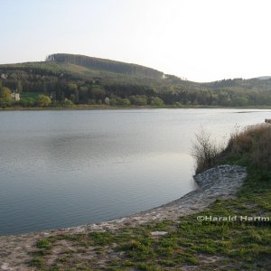 Wienerwaldsee