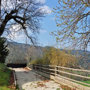 Holzkegelbahn in Hochfeistritz