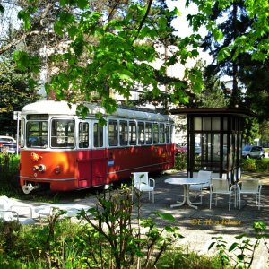 Medium 'Ausgedinge' in der Kategorie 'Autobus, Omnibus, Öffi'
