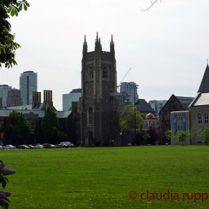 University of Toronto
