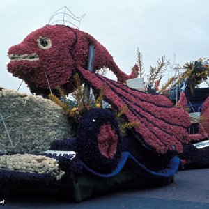 Blumenkorso Niederlande