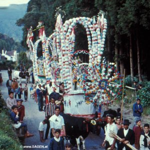 Madeira traditioneller Umzug