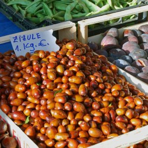 Brustbeere oder Chinesische Dattel
