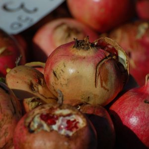Granatapfel