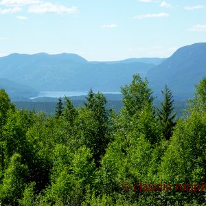 Wells Gray Park (BC, Canada)