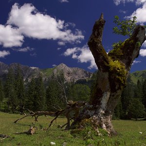 Kleiner Ahornboden