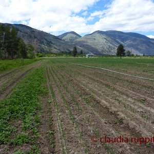 Similkameen Valley (BC, Canada)